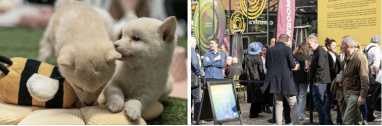 Umbrella and Wagstaff transform EC1 showroom into sensory-informed ‘Journey of Neurodiversity’ this Clerkenwell Design Week with international design brands, headline talks, LEGO® build and Puppy Therapy sessions.