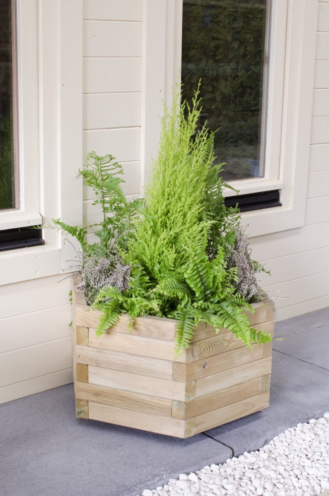 FSC timber planters: New designs, hints and tips
