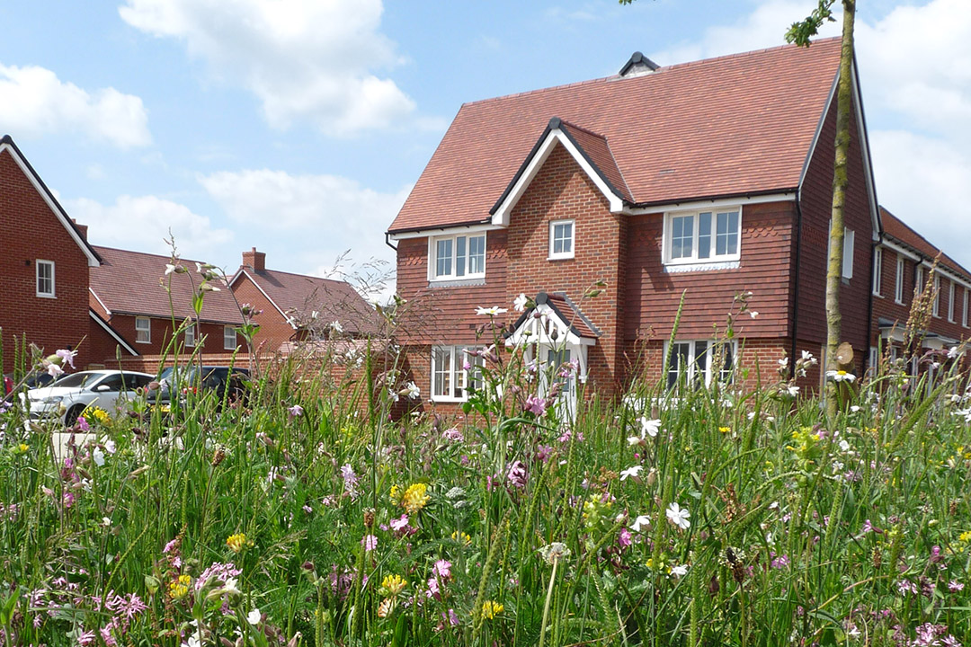The housebuilding industry can lead the way on biodiversity @NHBCFoundation