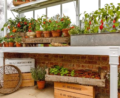 WANT TO BE MORE ECO-FRIENDLY IN YOUR GREENHOUSE?… @Hartleybotanic