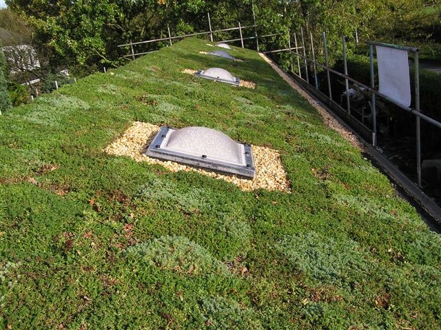 SIMPLE YET SUSTAINABLE: EMBRACING THE GREEN ROOF TREND @PermaGroupUK
