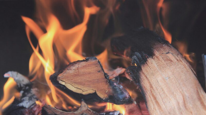 How to Store and Protect Firewood Purchases This Winter