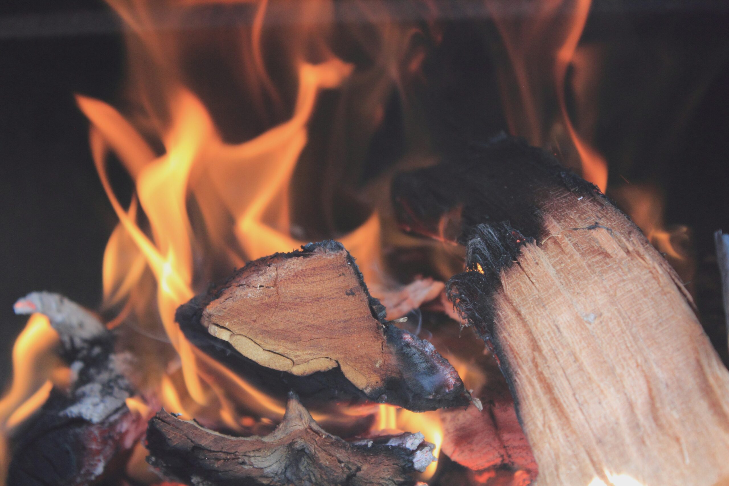 How to Store and Protect Firewood Purchases This Winter