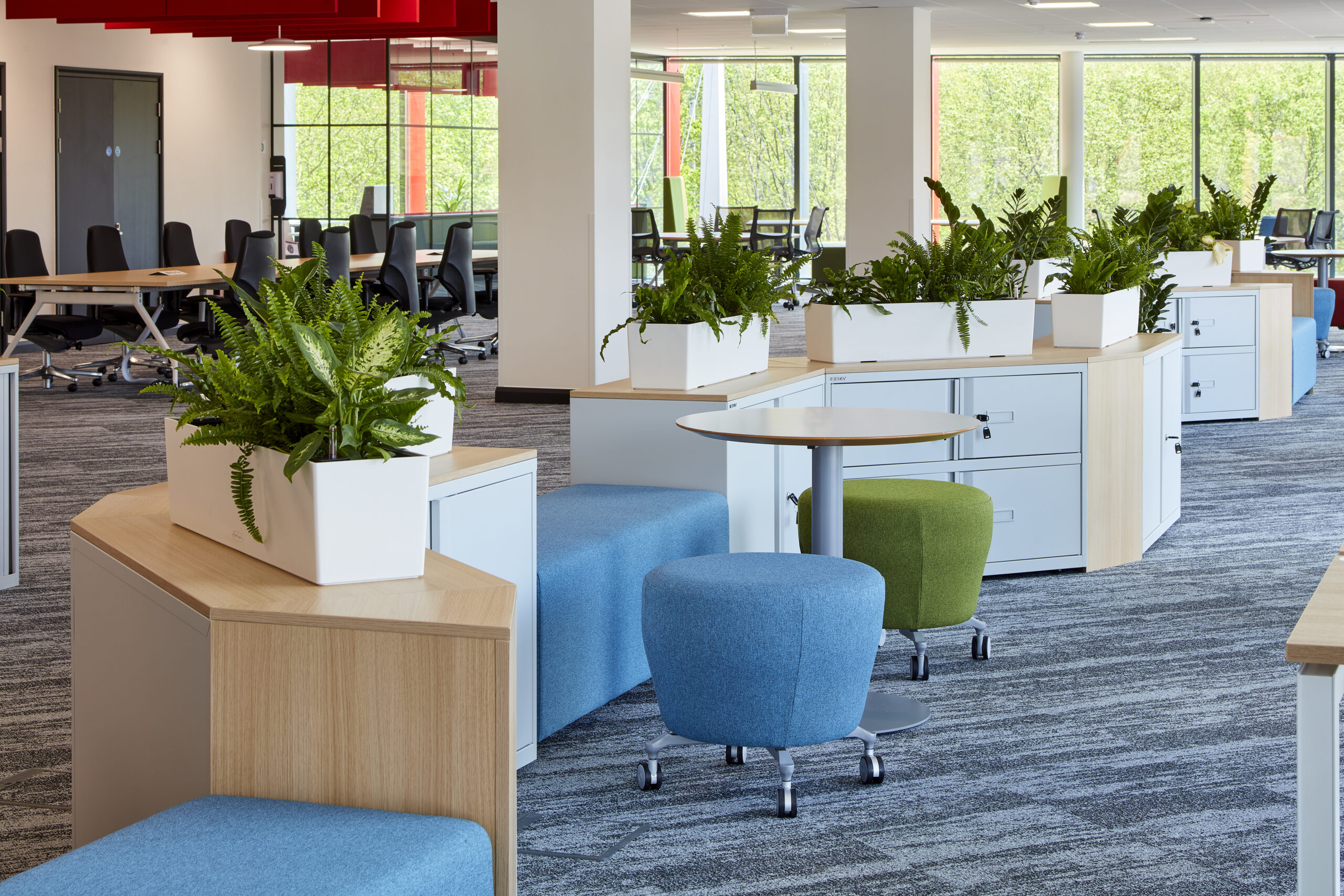 The Welsh Government Leads the UK in Sustainable Office Fitouts