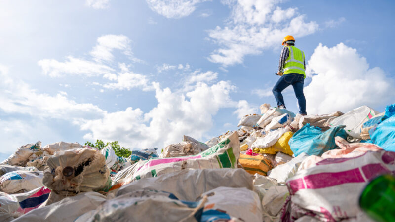 Research shows over half of waste and recycling datasets published by government phased out under Conservatives