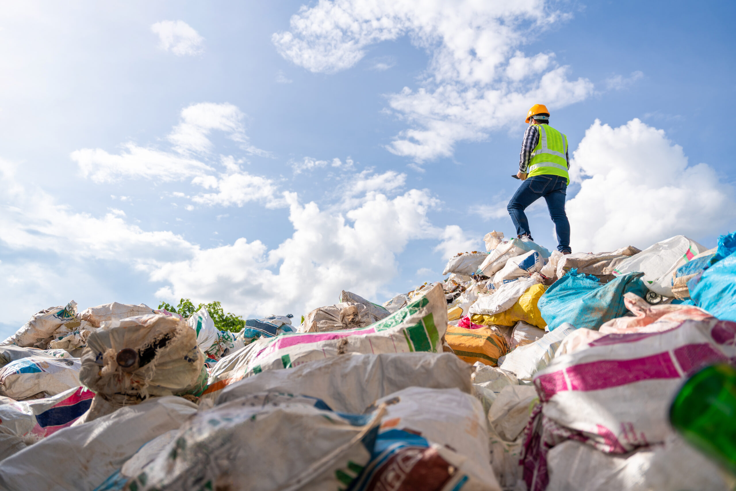 Research shows over half of waste and recycling datasets published by government phased out under Conservatives